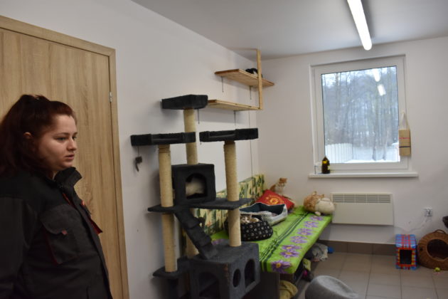 Kociarnia w żarskim schronisku