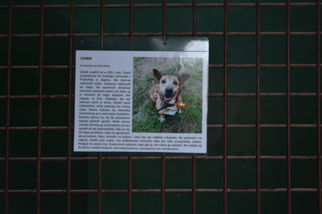 Wizyta w żarskim schronisku