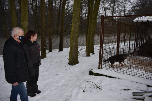 Wizyta w żarskim schronisku