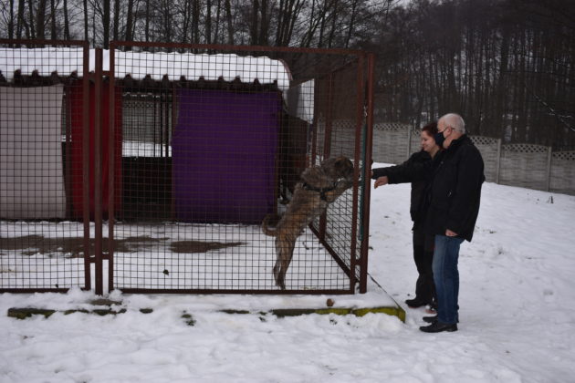 Wizyta w żarskim schronisku