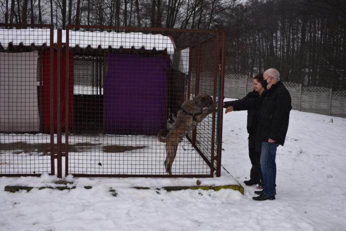 Wizyta w żarskim schronisku