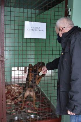 Wizyta w żarskim schronisku