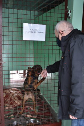 Wizyta w żarskim schronisku