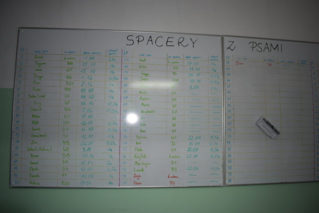 Wizyta w żarskim schronisku