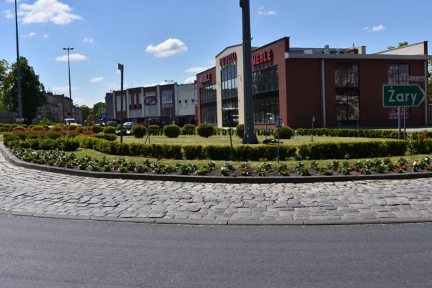 Nasadzenia na rondzie Czterech Pancernych