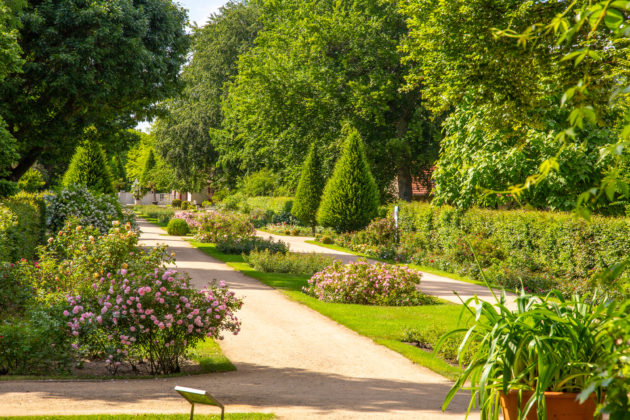 Ogród Różany Forst