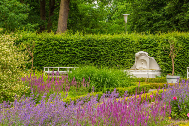 Ogród Różany Forst