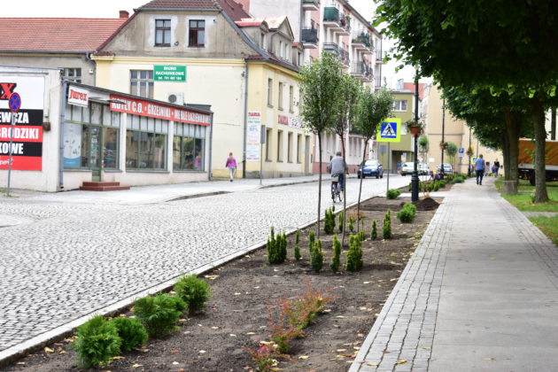 Zagospodarowanie zieleni ul Ratuszowa