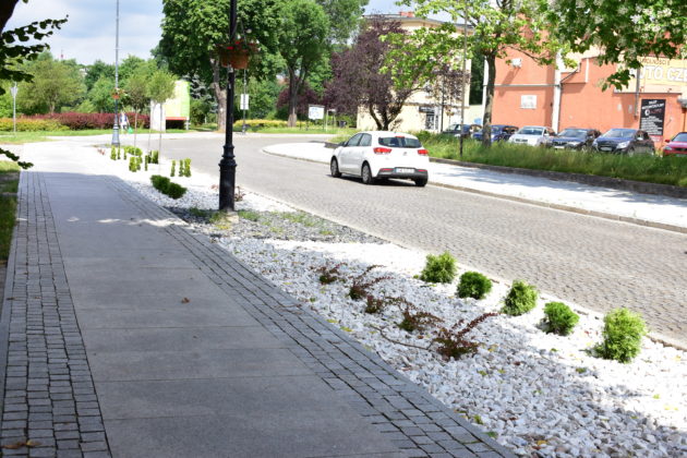 Zagospodarowanie zieleni ul Ratuszowa