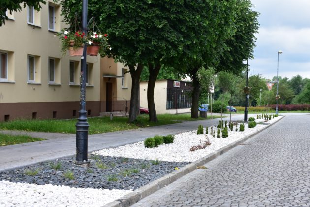 Zagospodarowanie zieleni ul Ratuszowa