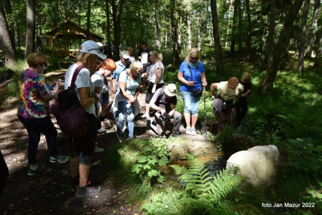 Zwiedzanie miasta z przewodnikiem