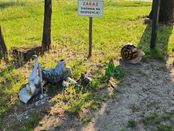 Zniszczona eko-ścieżka przy PSP7