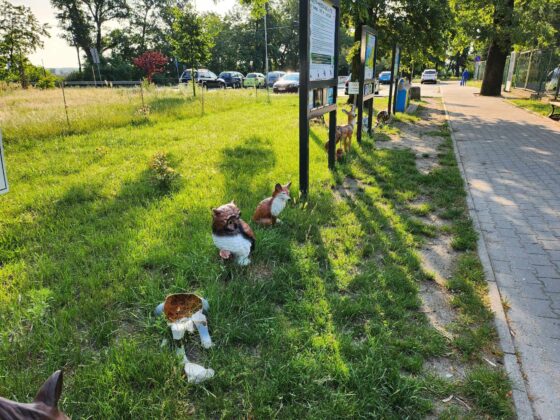 Zniszczona eko-ścieżka przy PSP7