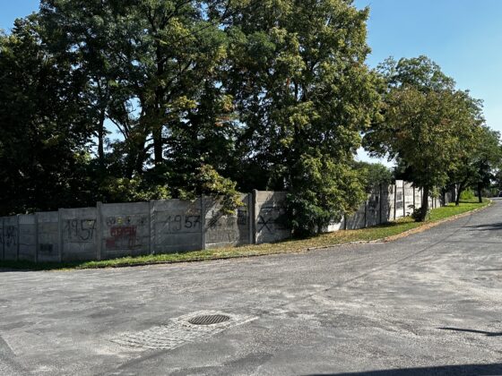 stan ogrodzenia przed remontem