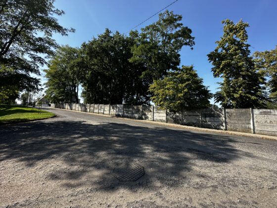 Stan ogrodzenia przed remontem