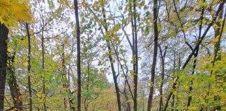 Żagański BISPARK MTB zaprasza