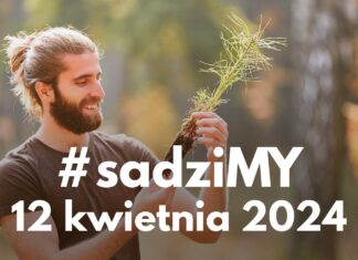 Nadleśnictwo zaprasza jutro po sadzonki drzewek
