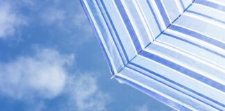 Otwarty konkurs ofert na organizację wypoczynku letniego Letni wypoczynek