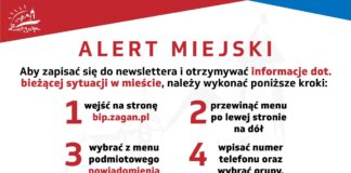 Dodanie numeru telefonu do bazy danych urzędu