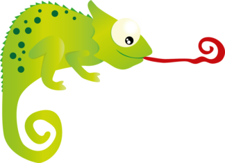 Matematyczny “Leon” w Dwójce