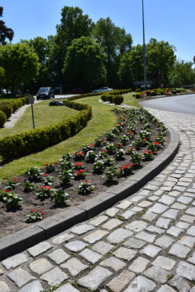 Nasadzenia na rondzie Czterech Pancernych