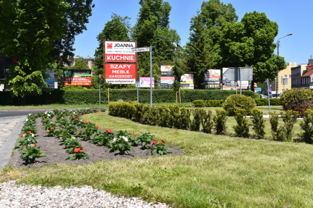 Nasadzenia na rondzie Czterech Pancernych