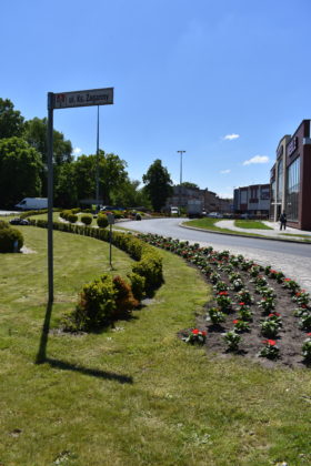 Nasadzenia na rondzie Czterech Pancernych