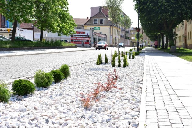 Zagospodarowanie zieleni ul Ratuszowa