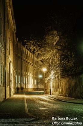 Barbara Buczek Ulica Gimnazjalna
