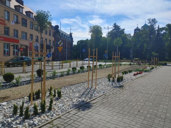 Skwer przy placu Wolności