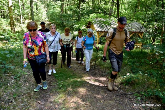 Zwiedzanie miasta z przewodnikiem