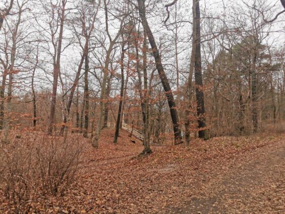 Zagospodarowanie terenu wokół Krzyża Wotywnego