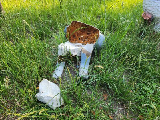 Zniszczona eko-ścieżka przy PSP7