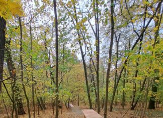 Żagański BISPARK MTB zaprasza