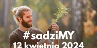 Nadleśnictwo zaprasza jutro po sadzonki drzewek
