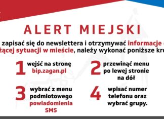 Dodanie numeru telefonu do bazy danych urzędu