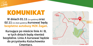 Darmowe autobusy w dniach 1-2.11.2024 r.