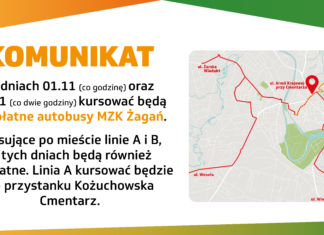 Darmowe autobusy w dniach 1-2.11.2024 r.